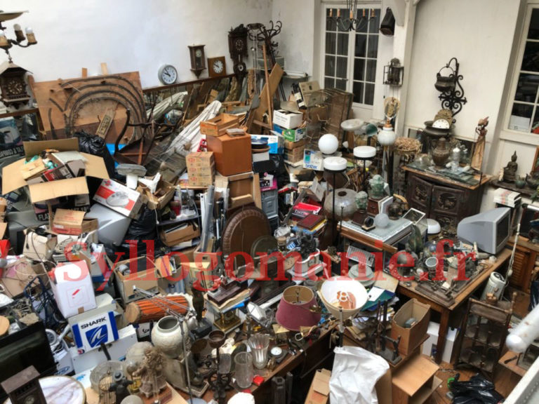 La syllogomanie ou thesaurisation pathologique présentation